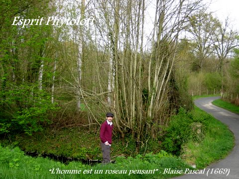 1er mai079